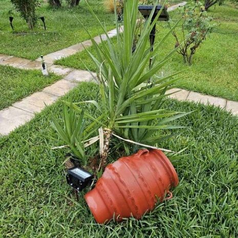 hliako-provolaki_me_fotistiko_gosolar.gr hliako-provolaki_me_fotistiko_gosolar.gr