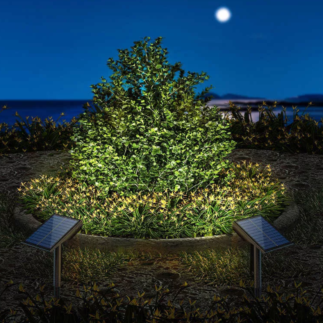 iliakos-provoleas_rgb-gia-kipous-gosolar.gr iliakos-provoleas_rgb-gia-kipous-gosolar.gr